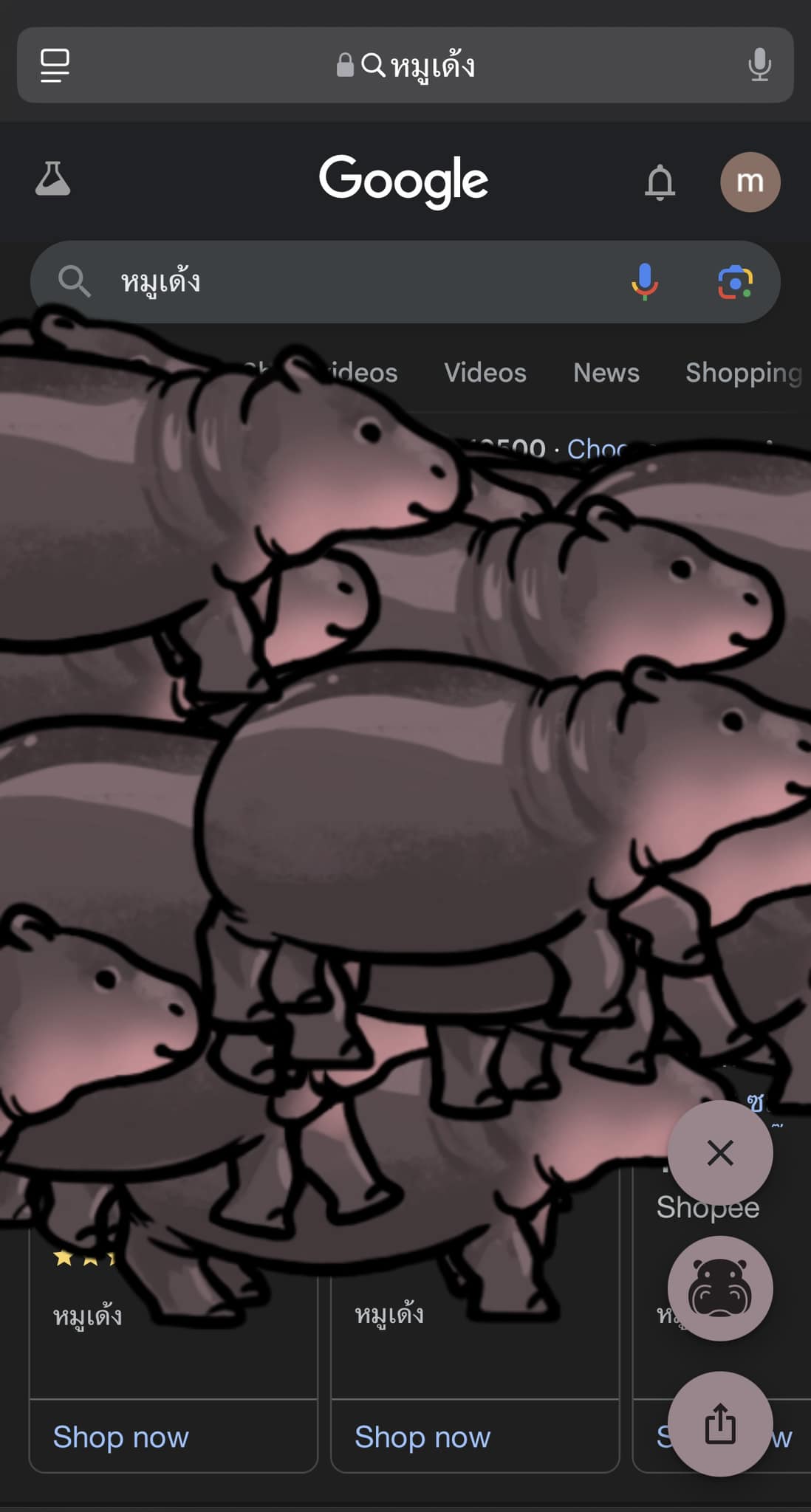 หมูเด้ง in your area! ตอนนี้มี easter egg หมูเด้งใน google search ด้วยนะ